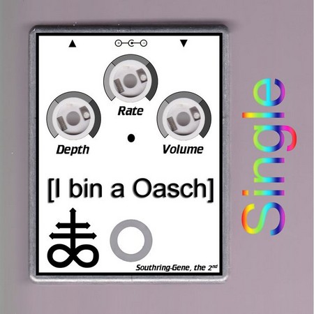 Cover von Southring Gene: I bin a Oasch